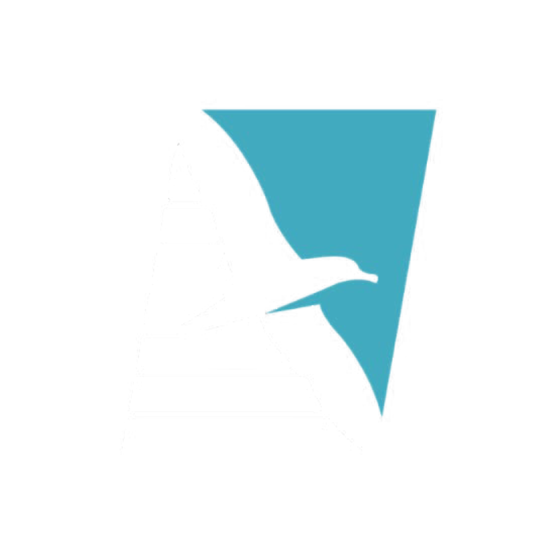 Shearwater Clearing office team reviewing customs documents