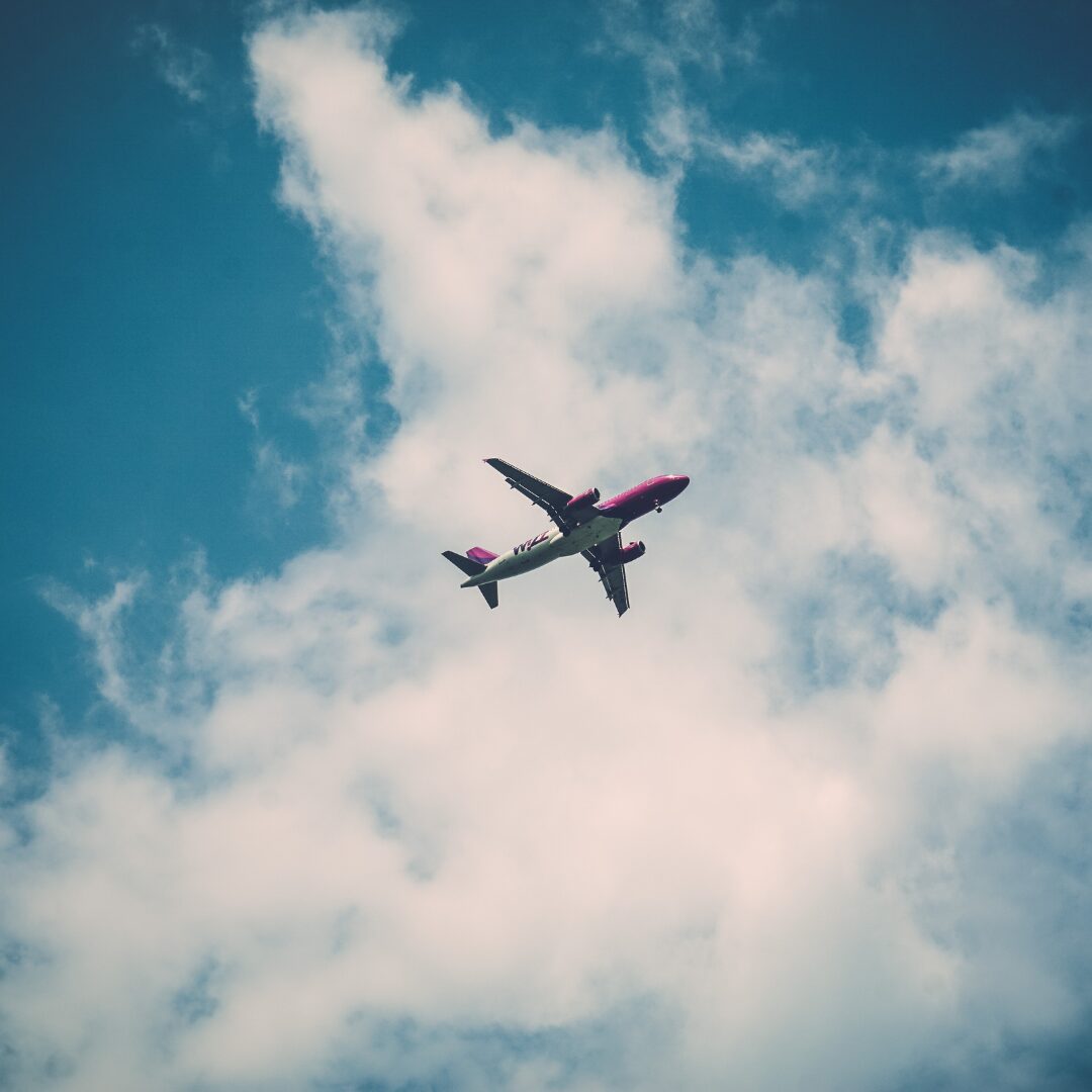 Cargo containers ready for customs clearance